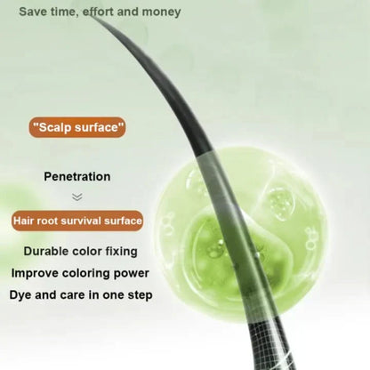 ✨🎁Hot Sale QIWEITANG Protein Color Protecting Hair Dyeing Cream✨🎁